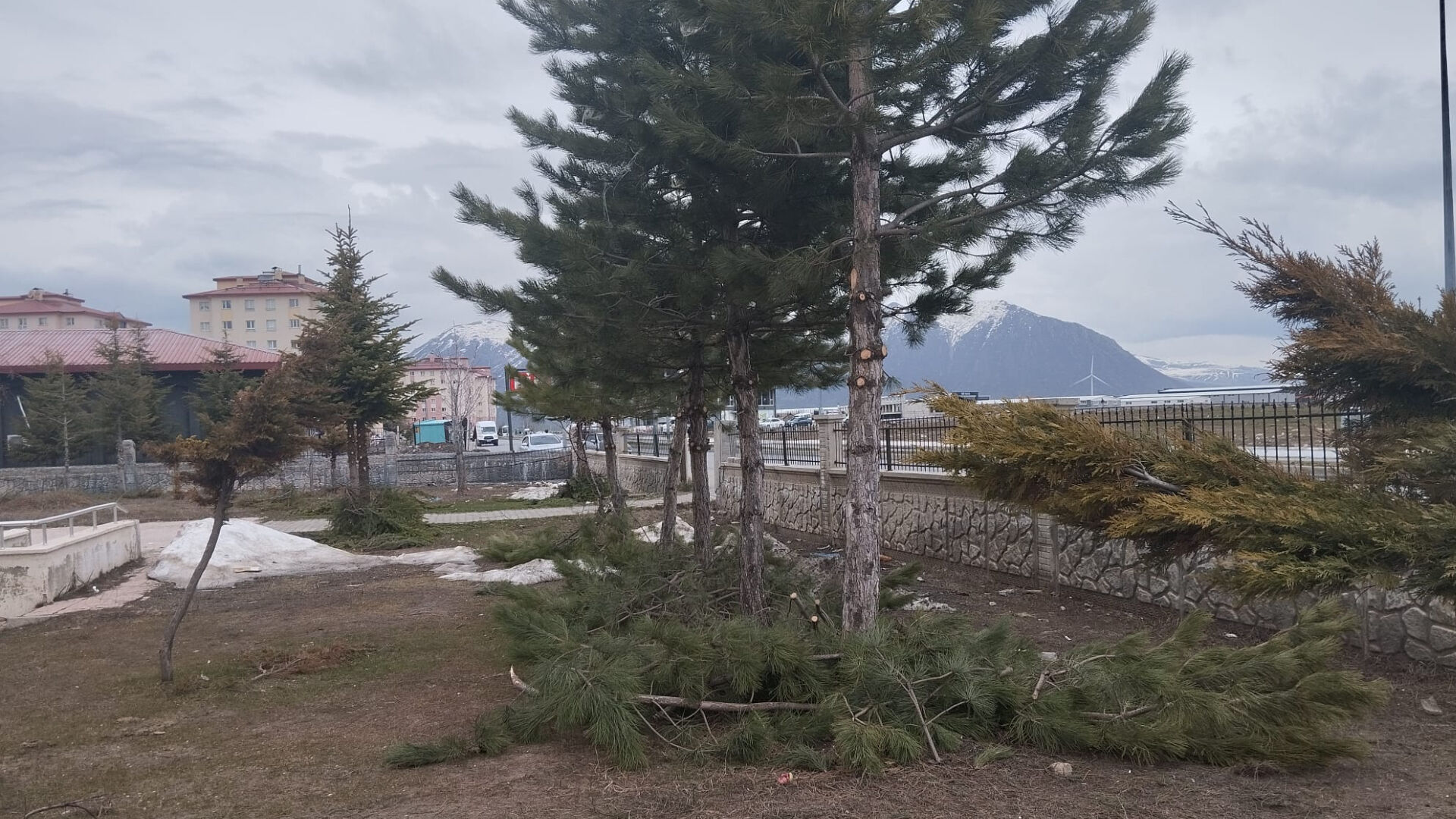 Haber Kapak Şablon 2026 04 29T192103.026