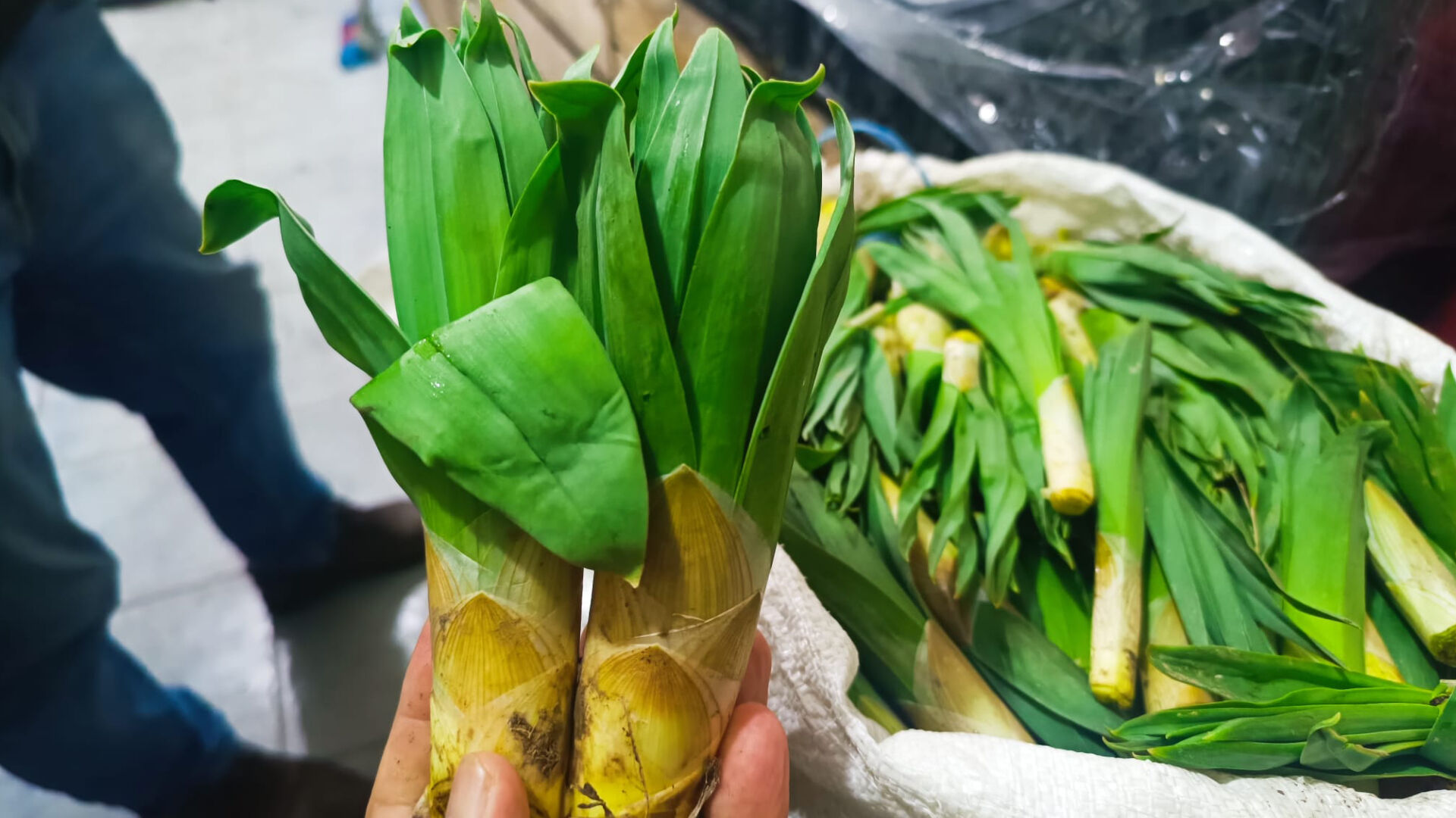 Haber Kapak Şablon (35)-40