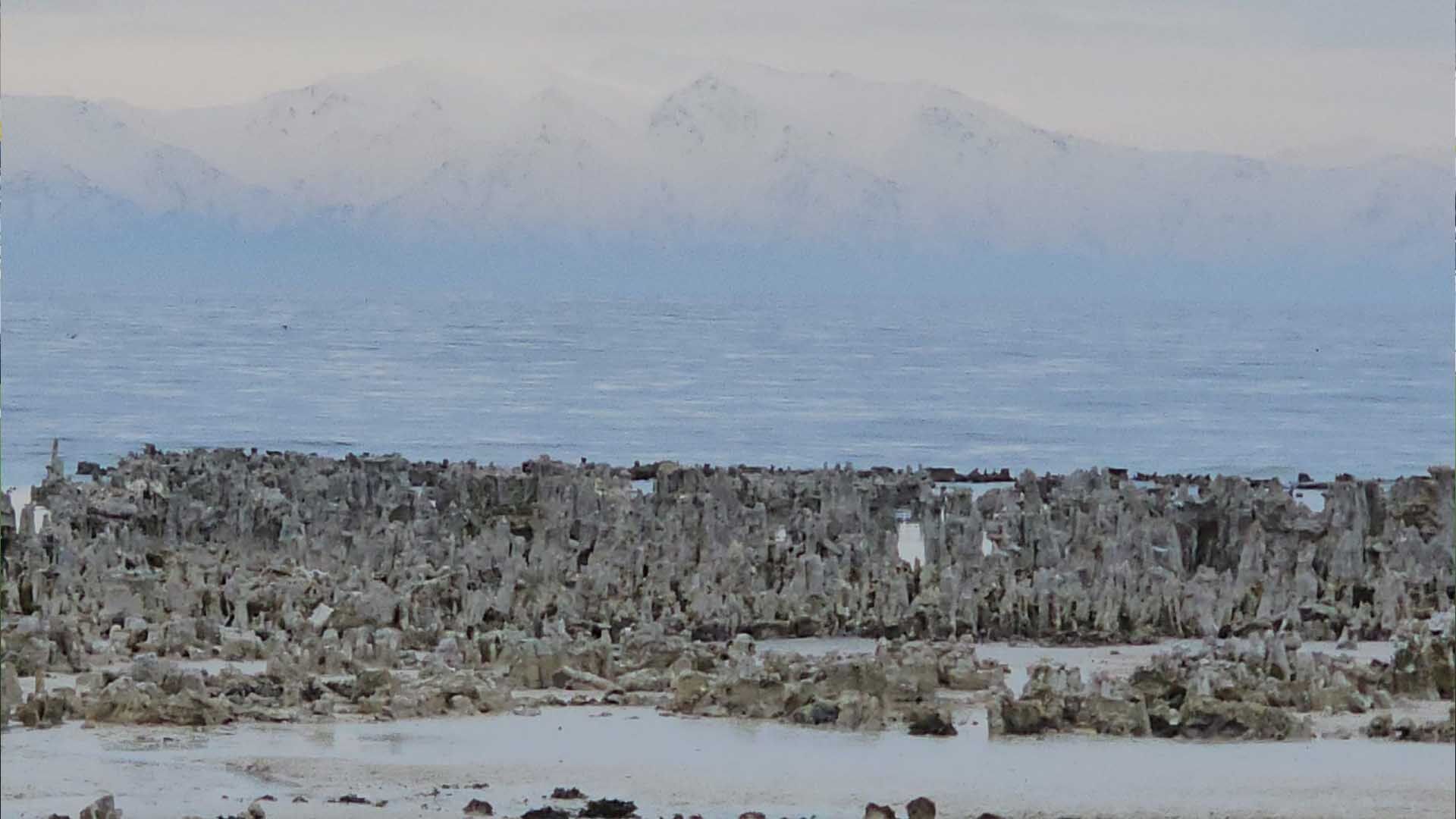 Van Gölü’nde Kuraklık Alarmı, Adilcevaz Sahilinde Mikrobiyalitler Ortaya Çıktı
