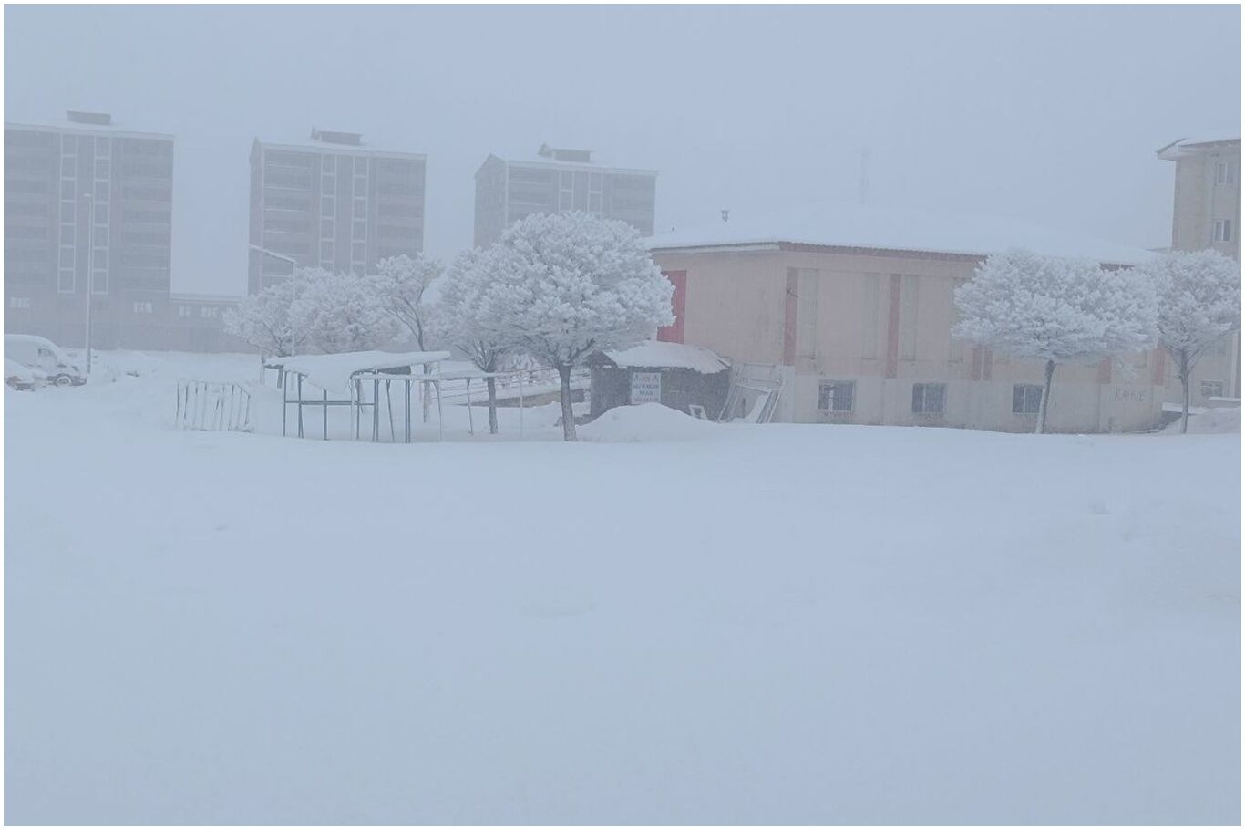 Whatsapp Image 2026 04 12 At 12.16.05 (1)