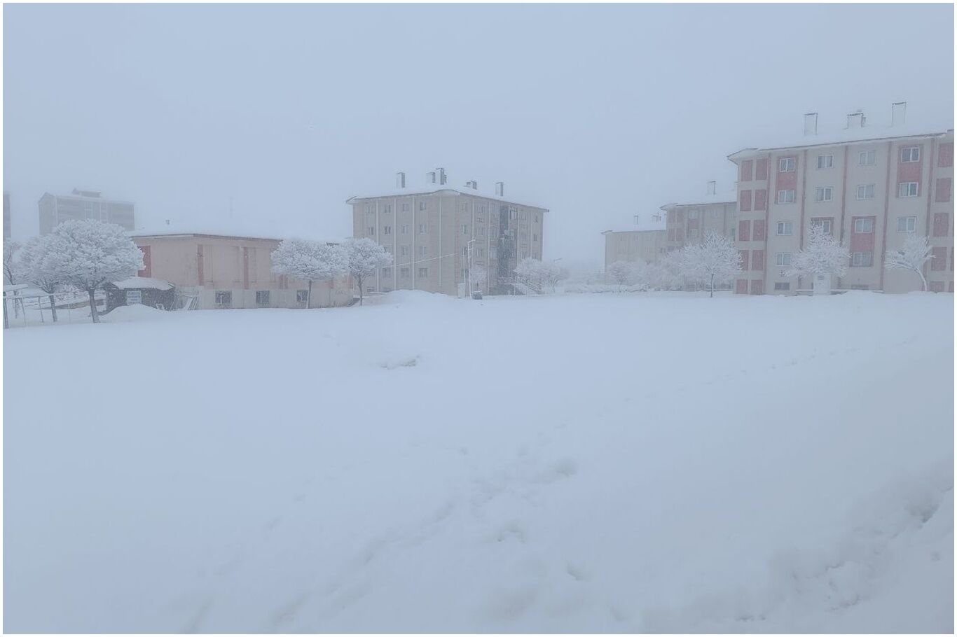 Whatsapp Image 2026 04 12 At 12.16.05 (2)