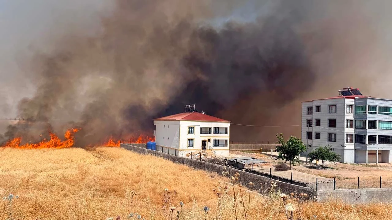 Diyarbakır'da Yangın Kısa Sürede Yayıldı Ekinler Kül Oldu 1