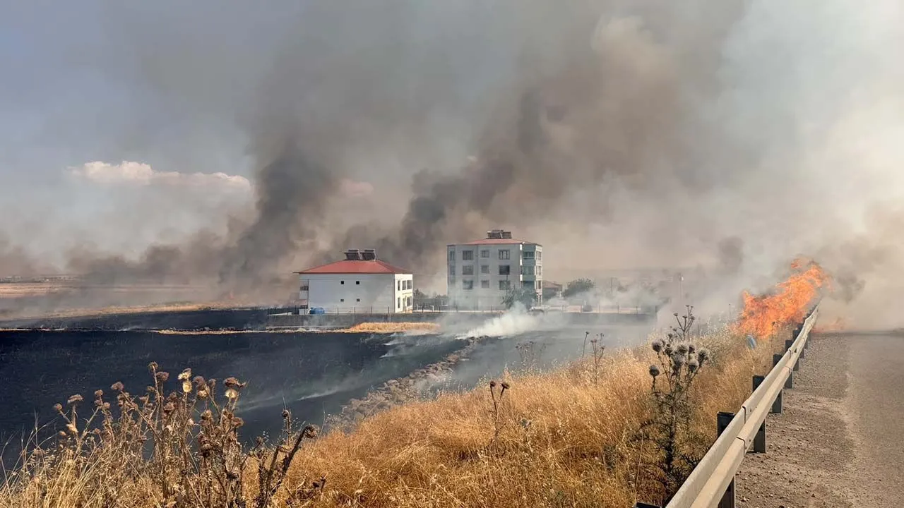 Diyarbakır'da Yangın Kısa Sürede Yayıldı Ekinler Kül Oldu 3