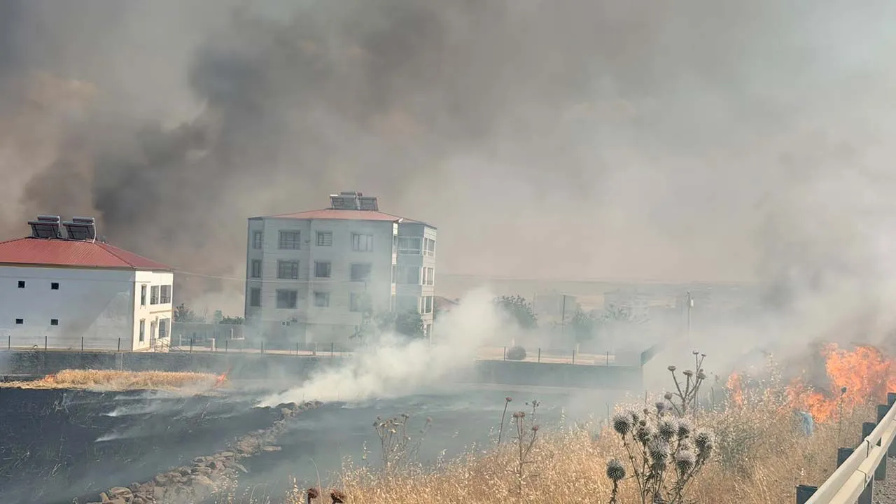 Diyarbakır'da Yangın Kısa Sürede Yayıldı Ekinler Kül Oldu 5