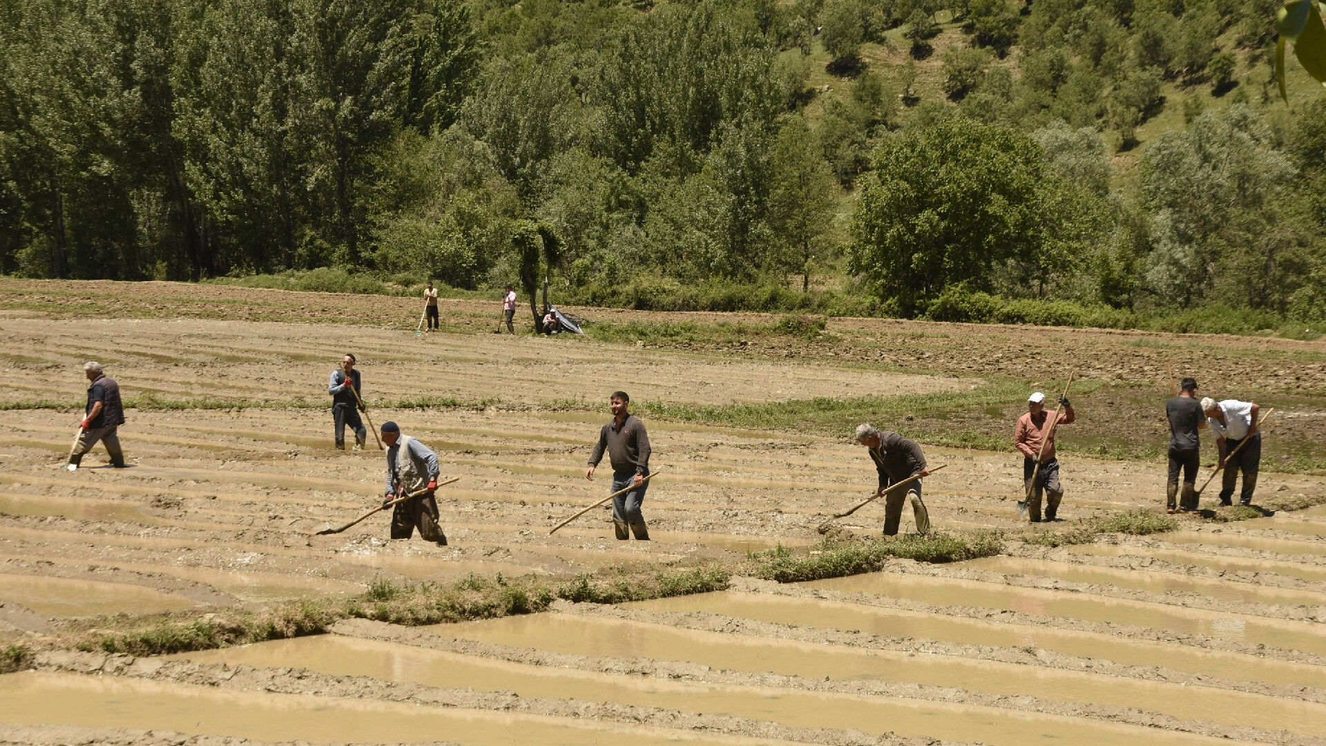 Haber Kapak Şablon 2026 06 02T092026.941-1