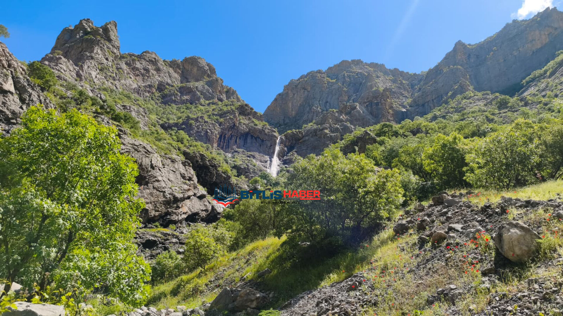 Haber Kapak Şablon 2026 06 03T114811.045