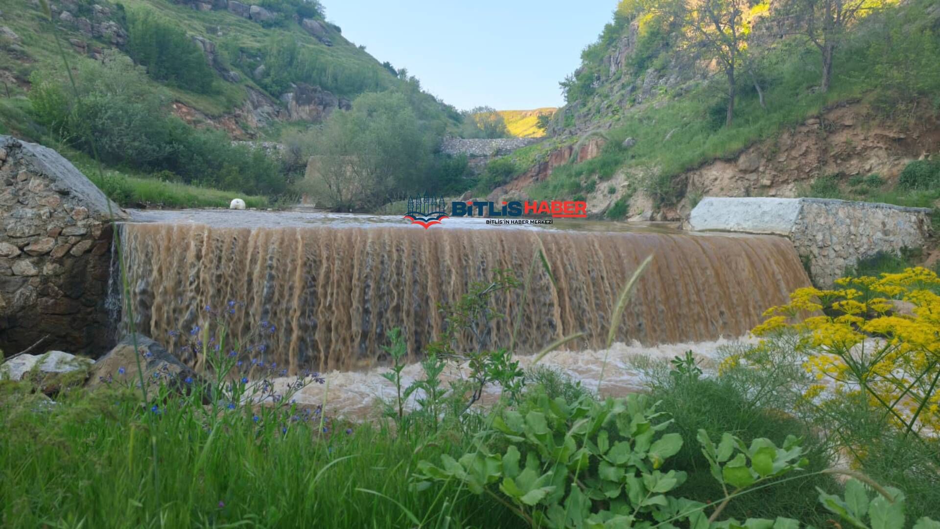 Haber Kapak Şablon (39)-42