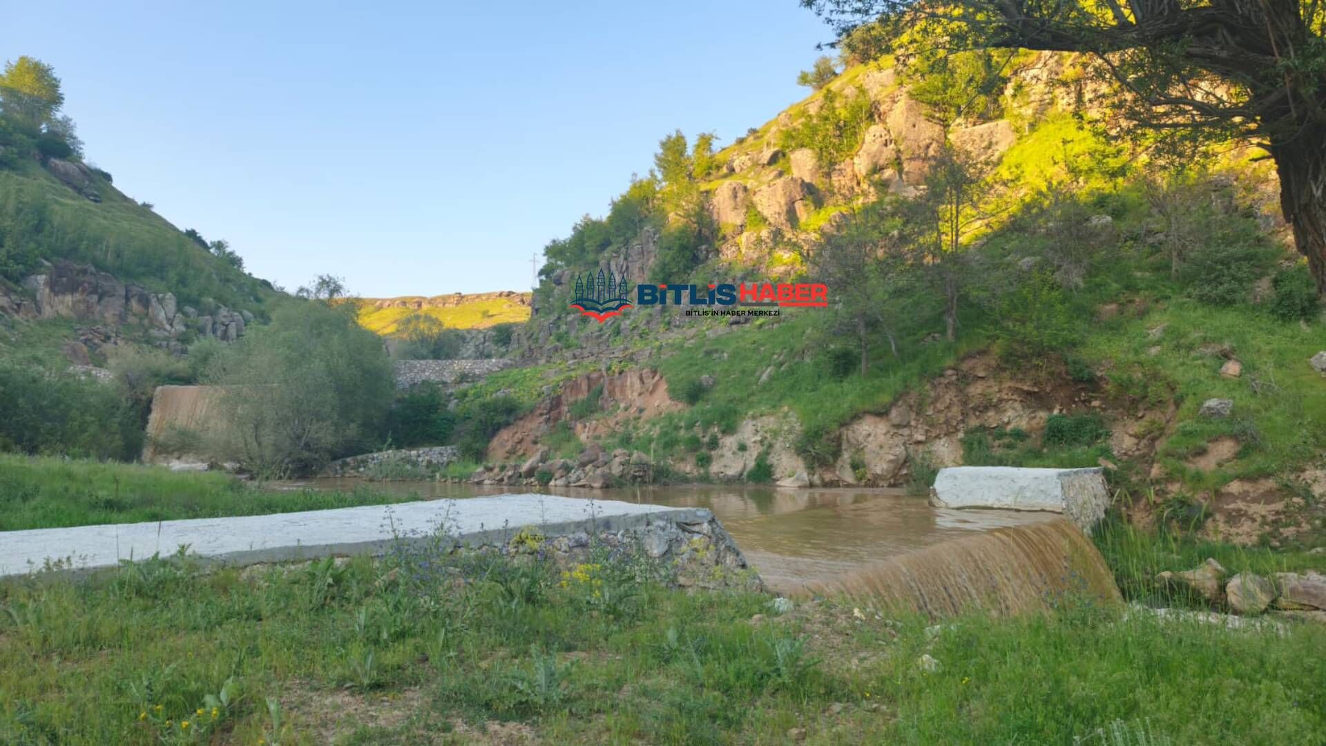 Haber Kapak Şablon (40)-45