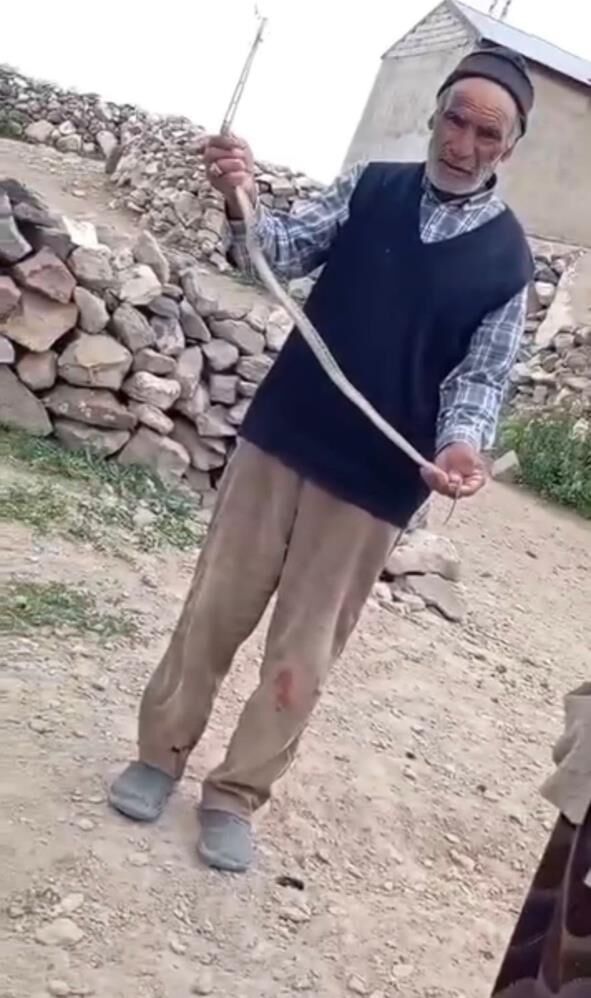 Iğdır'da Eve Girmeye Çalışan Yılanı Çıplak Elle Yakaladı 1