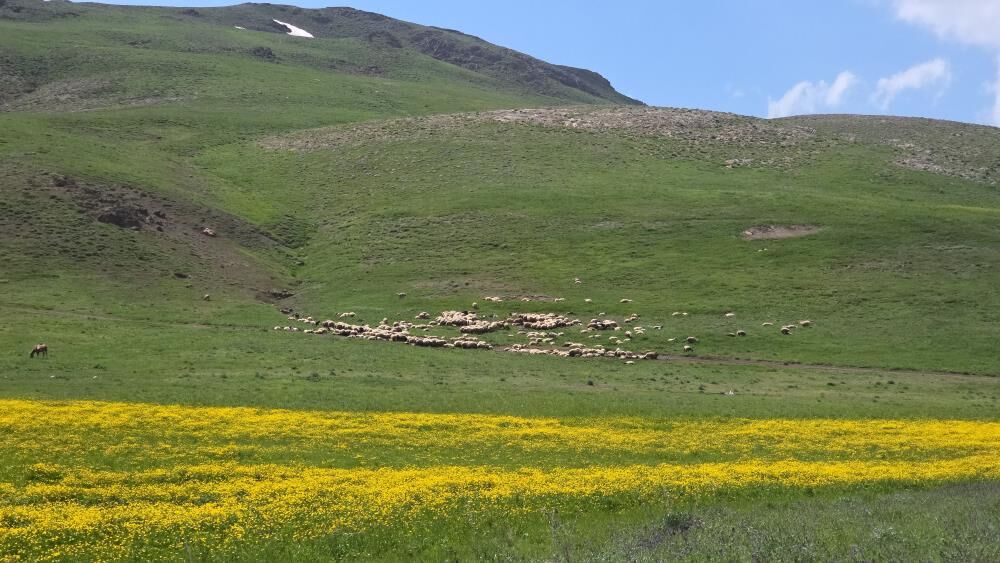 Van'da Aynı Gün Iki Mevsim Ovada Yaz; Karabet'te Kış 1