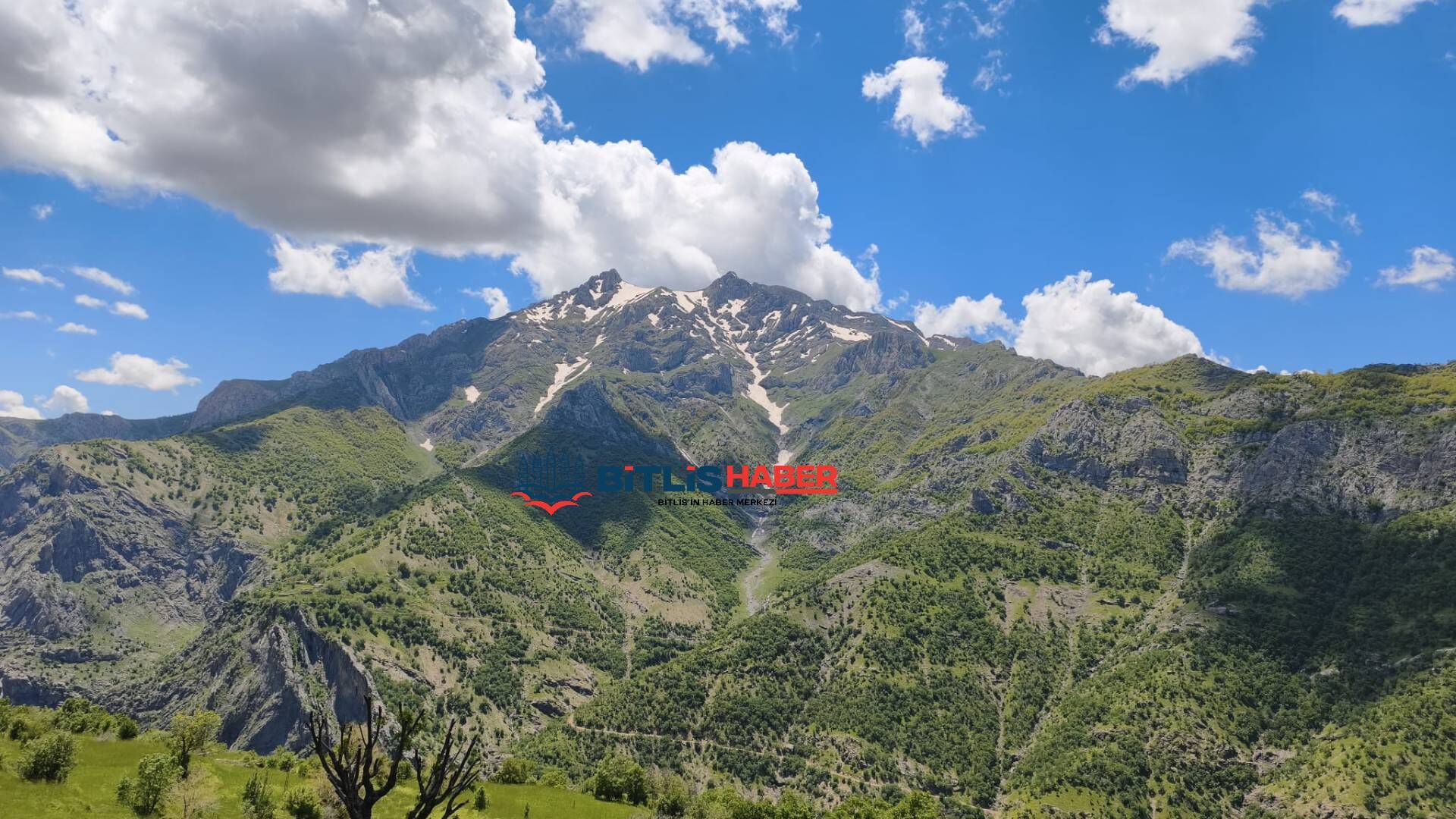 Haber Kapak Şablon 2026 07 12T120815.054