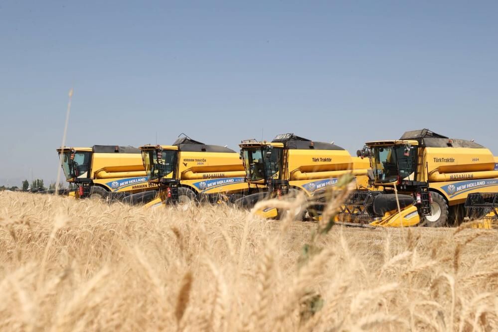 Muş'ta Hububat Hasadı 11 Milyar Liralık Katkı Bekleniyor 1