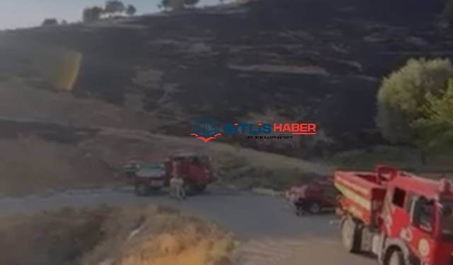 Bitlis Ve Ilcelerinde Vefat Edenler1111 1 1 4 2 1 2 1 1 1 1 1 1 1 (1)