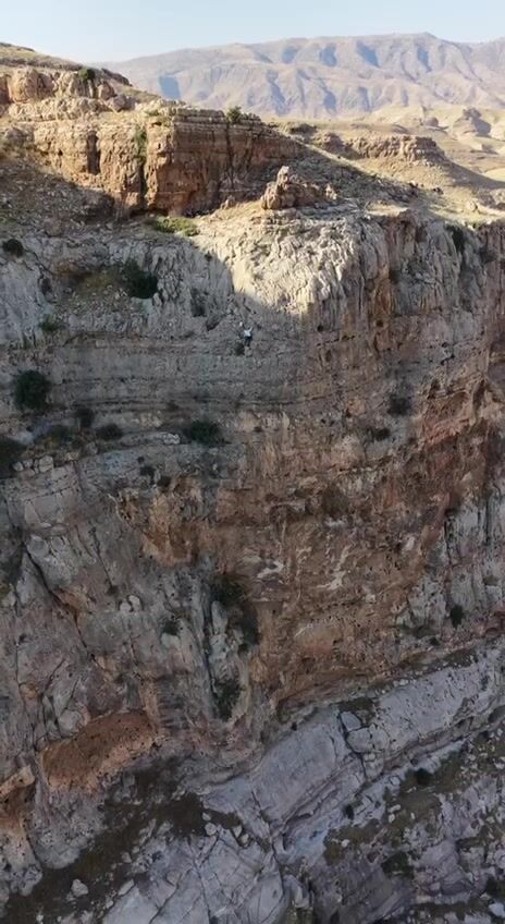 Bitlis'e Komşu Ilde Öğretmenlikten Kaya Balı Hasadına Dronla Görüntülendi 3
