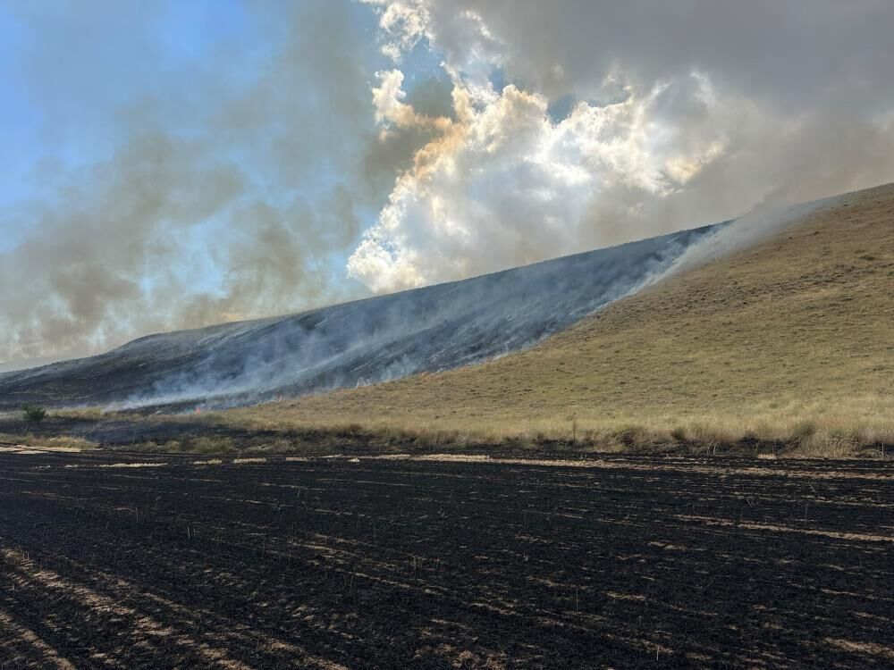 Bitlis'te Alevler Tarlaları Sardı 400 Dönüm Kül Oldu 1