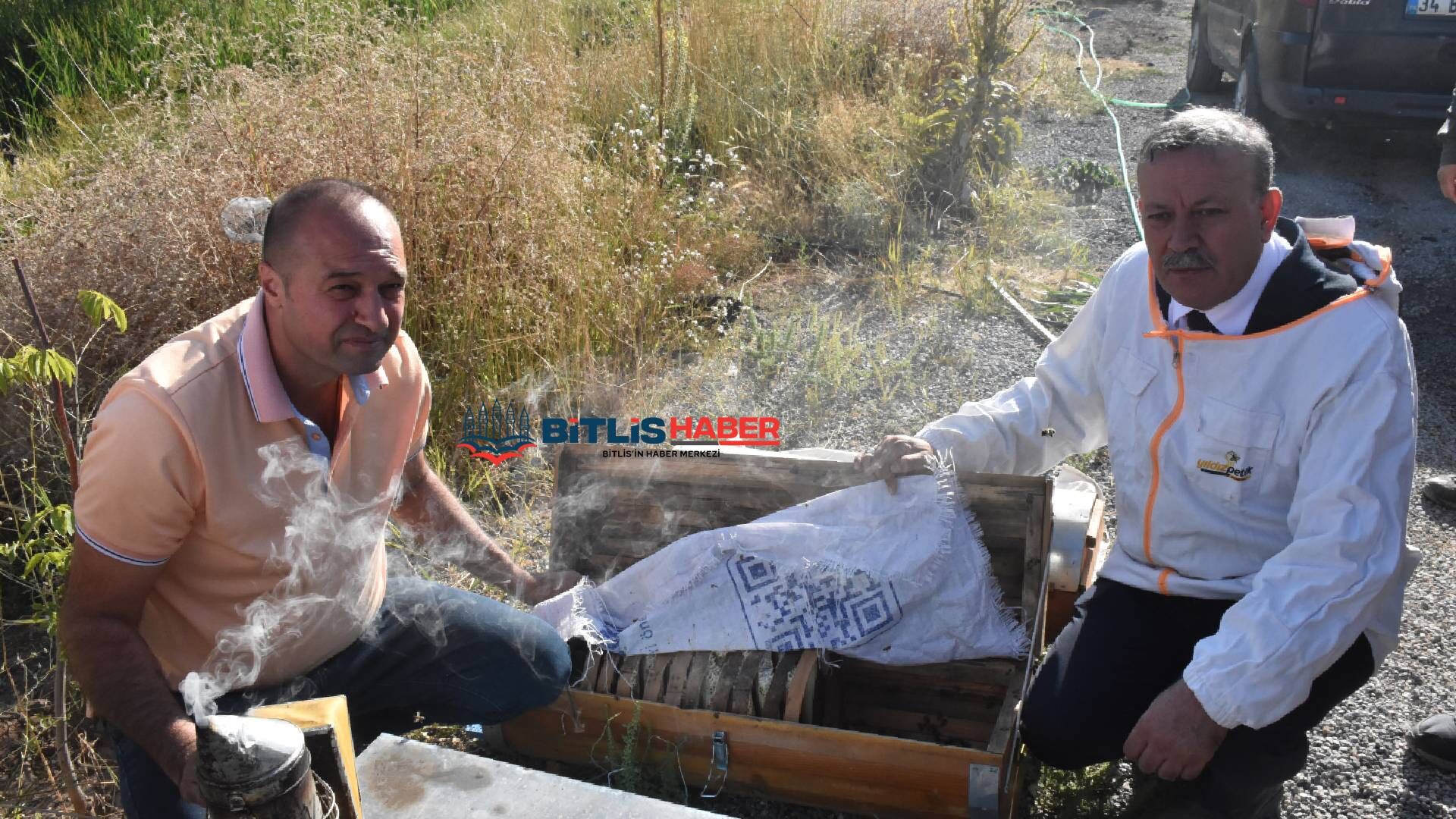 Haber Kapak Şablon (77)-21