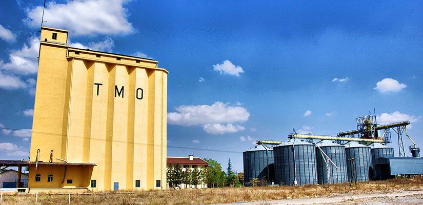 TMO’dan üreticilere 3,6 milyar TL’lik ödeme: Hesaplara yatırıldı