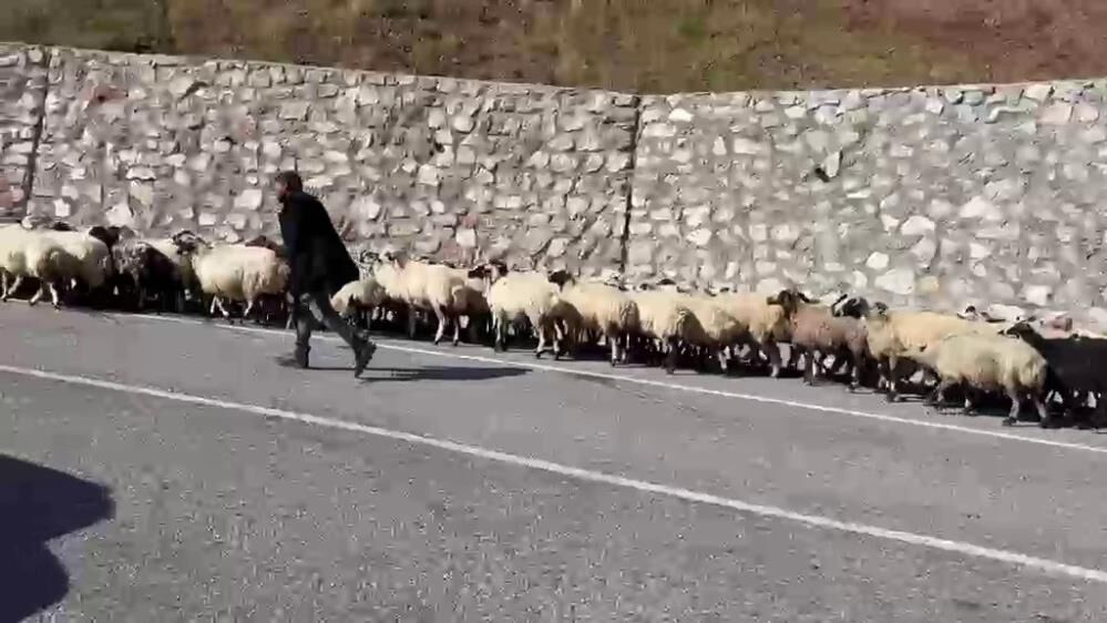 2 Bin 885 Rakımda Zorlu Dönüş Göçerler Kışlakların Yolunu Tutuyor 1