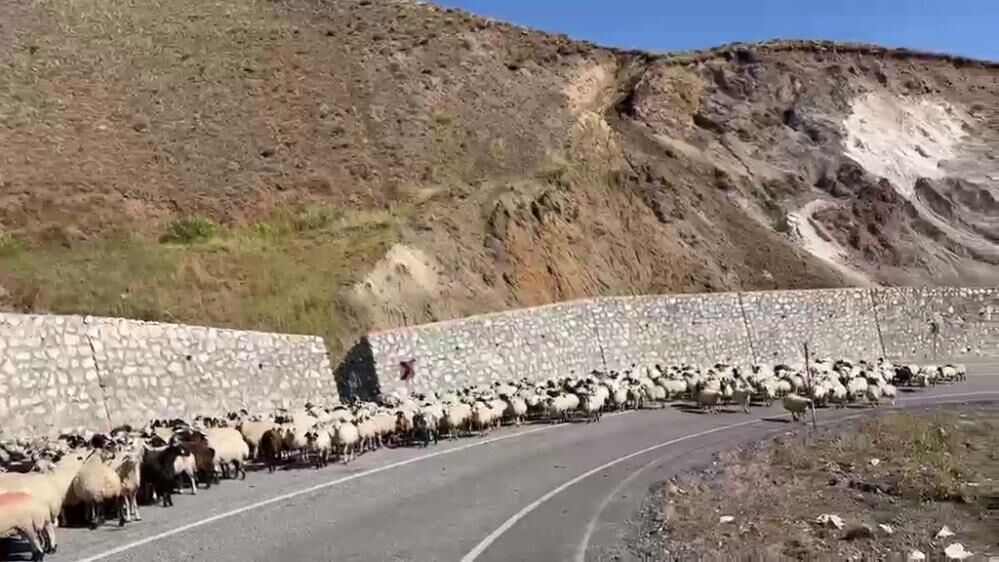 2 bin 885 rakımda zorlu dönüş: Göçerler kışlakların yolunu tutuyor
