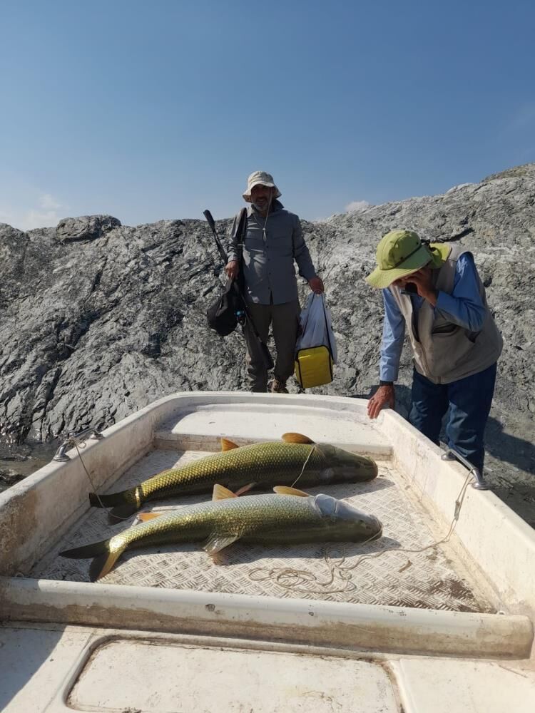 Biri 25, Diğeri 30 Kilo! Dev Turnalar Yakalandı 1