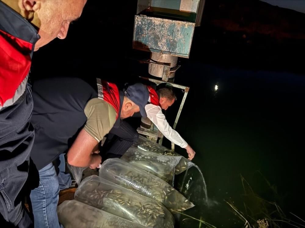 Bitlis Aygır Gölü, Hiş Göleti Ve Nazik Gölü Balıklandırıldı 1