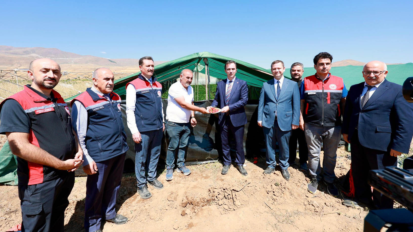 Bitlis'te Domates Hasadı Yapıldı, Üretimde Bölgede Lider, Türkiye’de 7’Nci Sırada 4