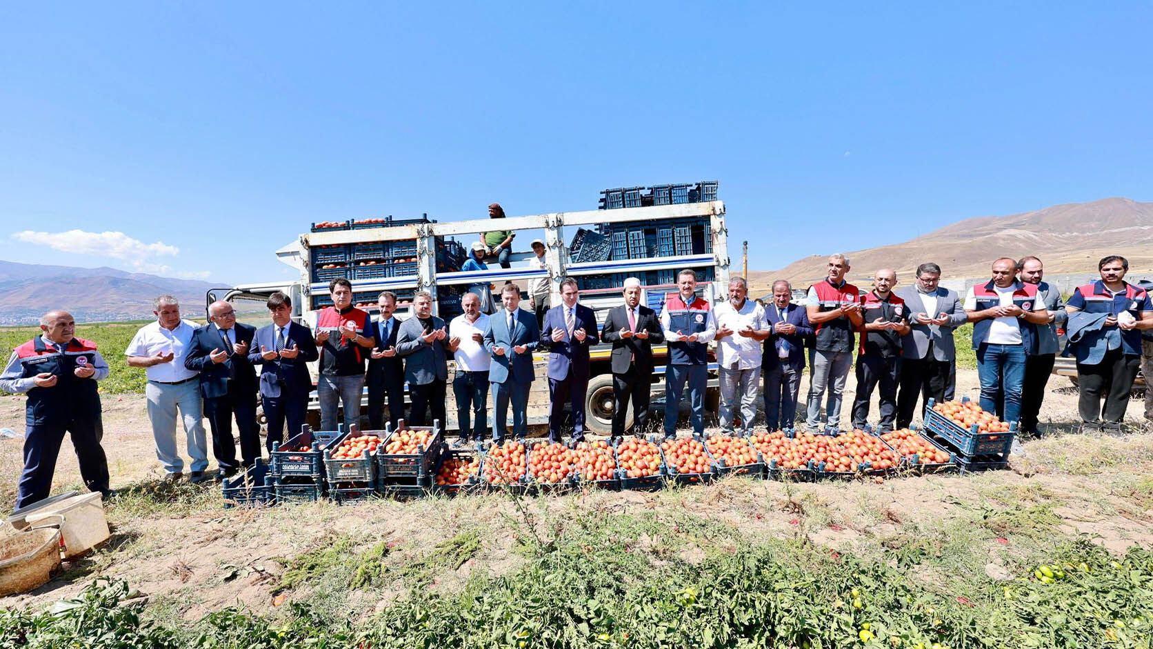 Bitlis'te Domates Hasadı Yapıldı, Üretimde Bölgede Lider, Türkiye’de 7’Nci Sırada 5