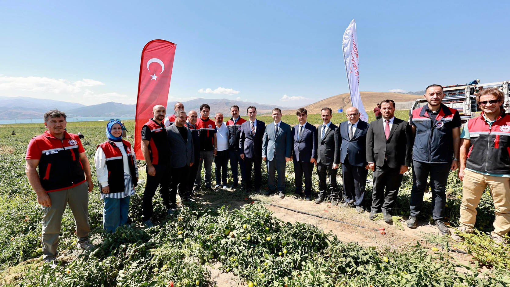 Bitlis'te Domates Hasadı Yapıldı, Üretimde Bölgede Lider, Türkiye’de 7’Nci Sırada 6