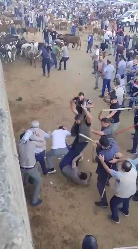 Canlı Hayvan Borsası'nda Taşlı Sopalı Kavga Ortalık Savaş Alanına Döndü 1