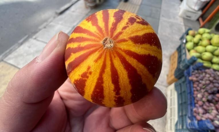Şamama kavunu tezgahlarda: Tanesi 30 liradan satılıyor
