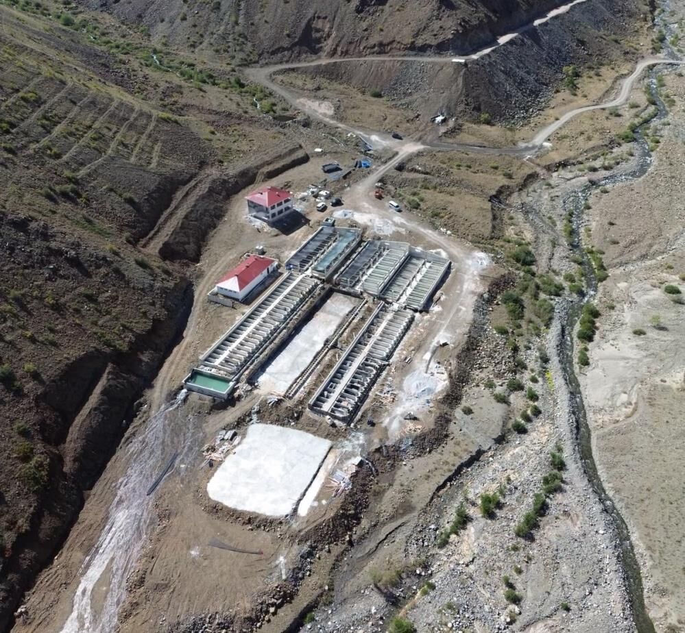 Erzincan'dan 18 Ülkeye Somon Gidiyor 1