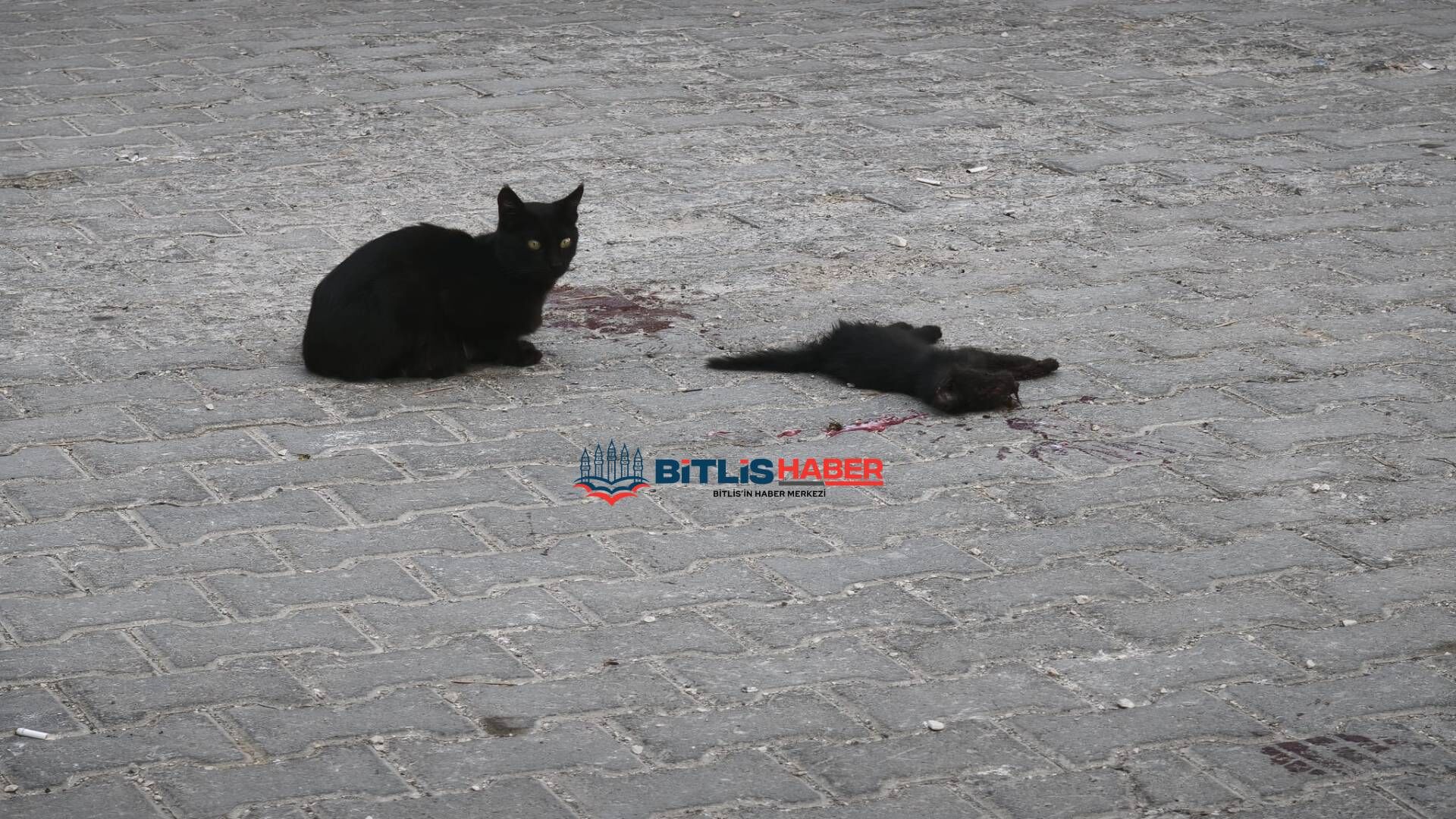 Haber Kapak Şablon 2026 09 20T104709.174