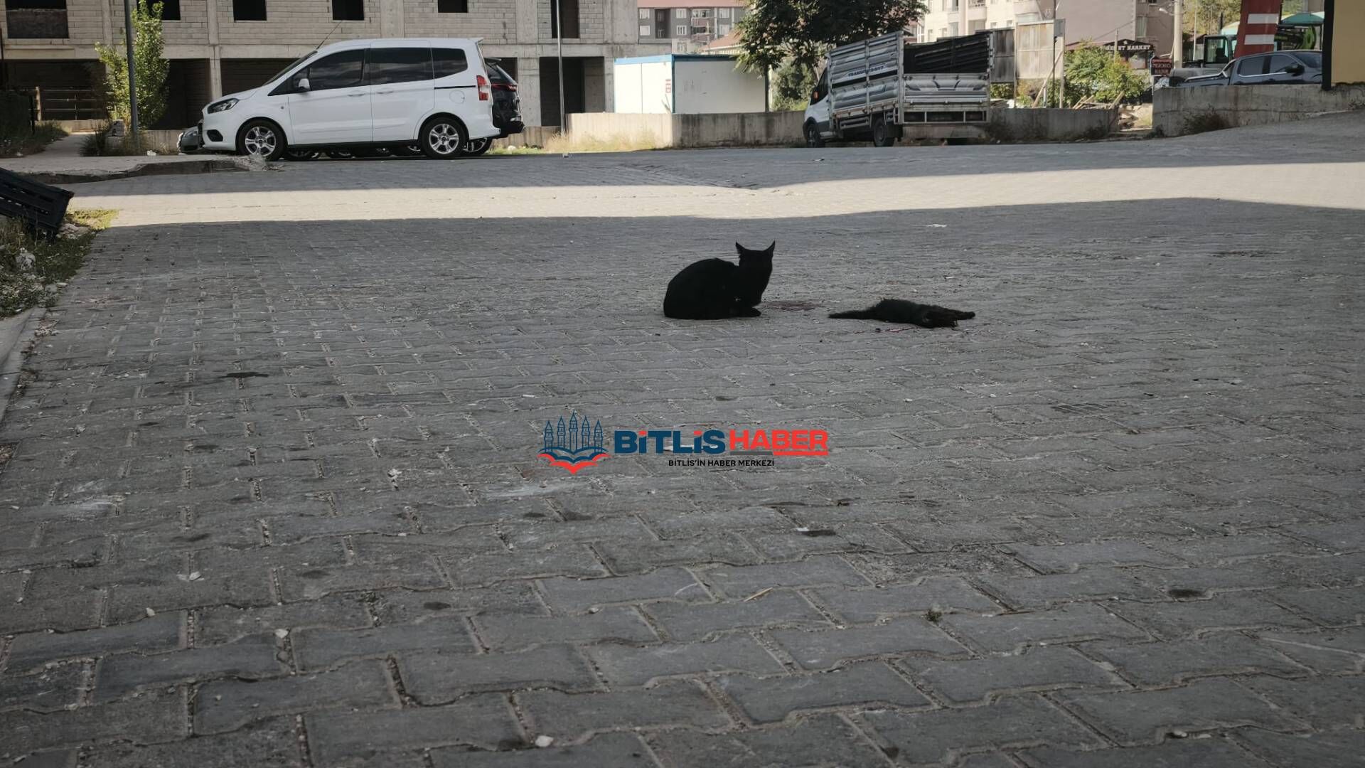 Haber Kapak Şablon 2026 09 20T104715.253
