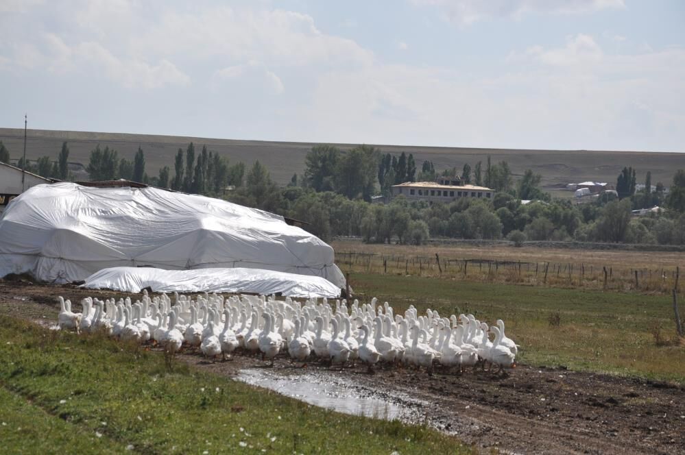 Kars Kazı Ne Zaman Kesiliyor Kar Yağışı Mı Bekleniyor 21