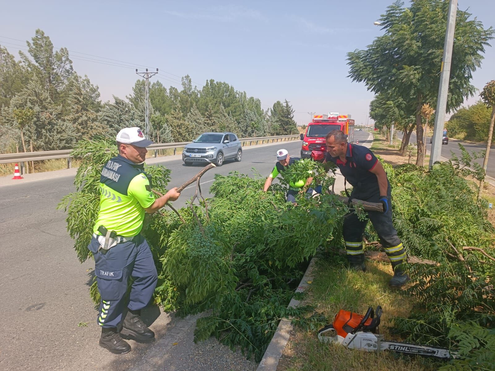 Kuvvetli rüzgar Batman-Silvan yolunda ağaç devirdi, trafik aksadı