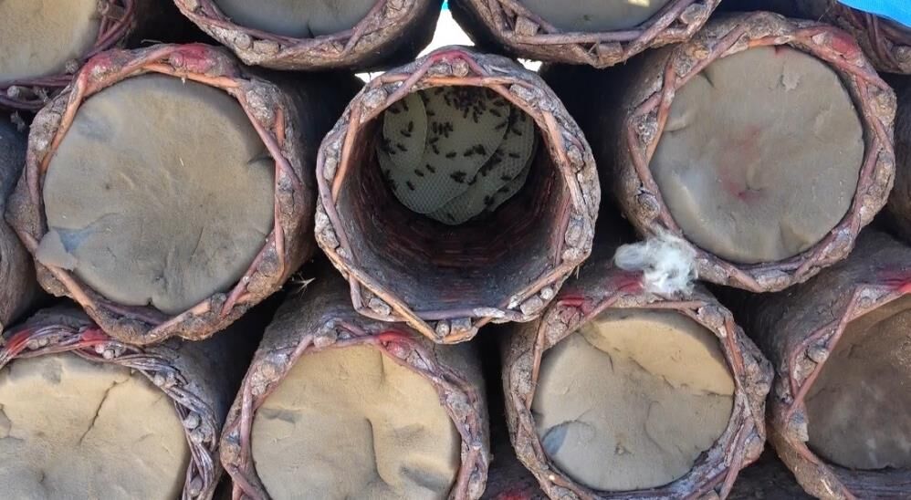 Modern Kovanları Bıraktılar, Ata Yadigarı Yöntemle Bal Üretiyorlar 1