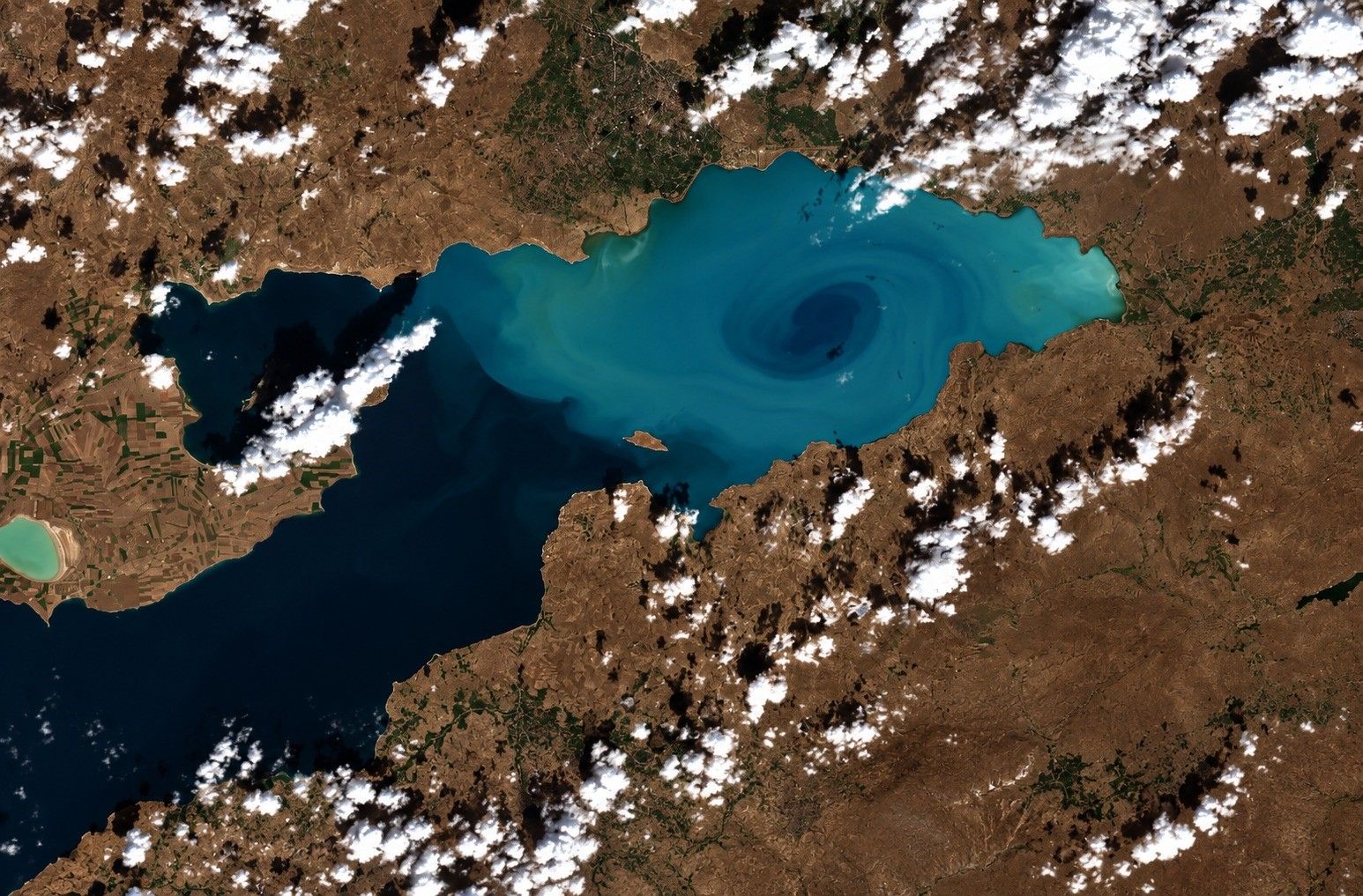 A W814207 03