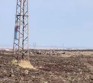 Acı olay: Yüksek gerilim direğinde asılı halde bulundu
