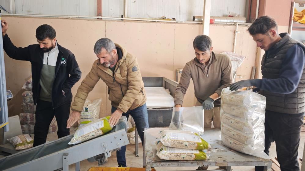 Bitlis Türkiye'nin Kuru Fasulye Tohumunda Zirvede Üretimin Yüzde 75'I Burada 7