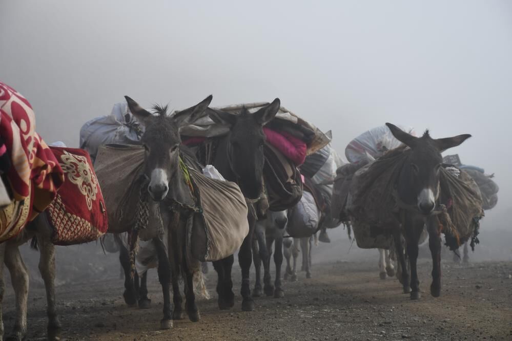 Faraşin Yaylası'ndan İdil'e Uzanan 20 Günlük Göç Yolculuğu Başladı 3