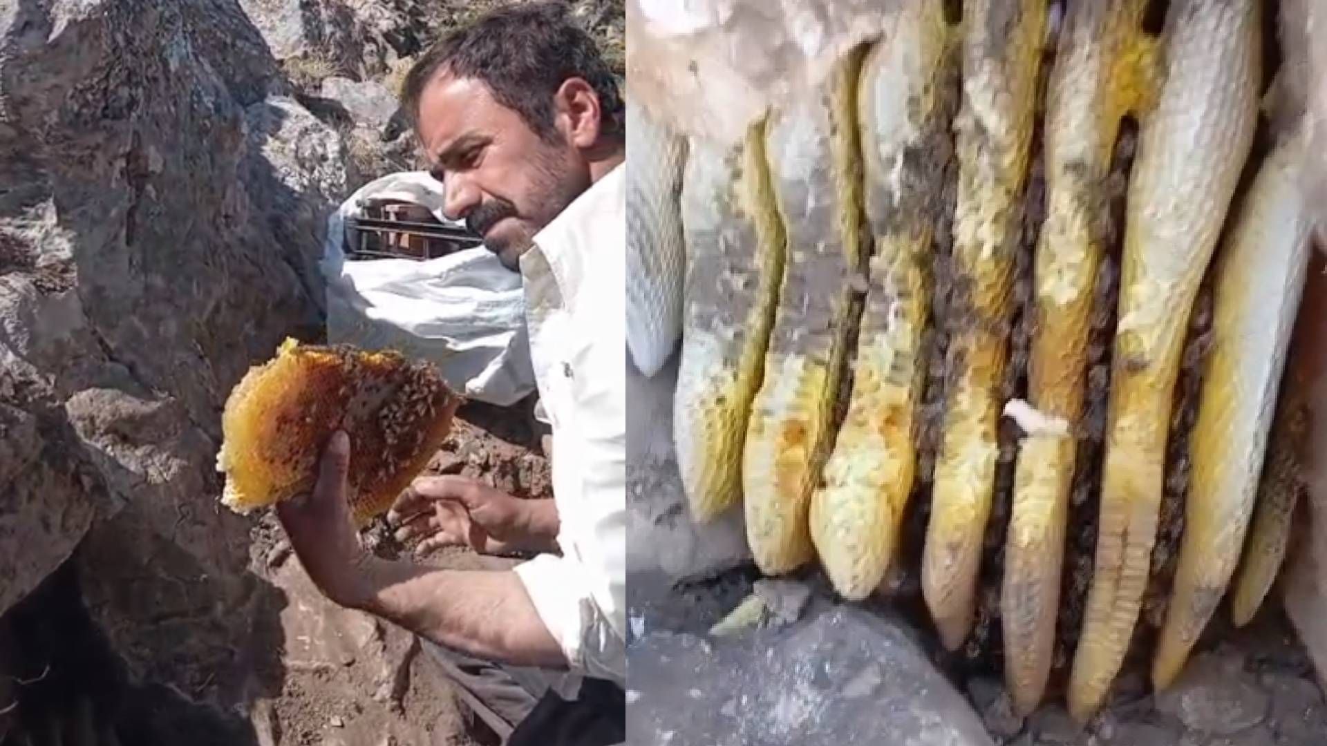 Haber Kapak Şablon 2026 10 15T160610.093