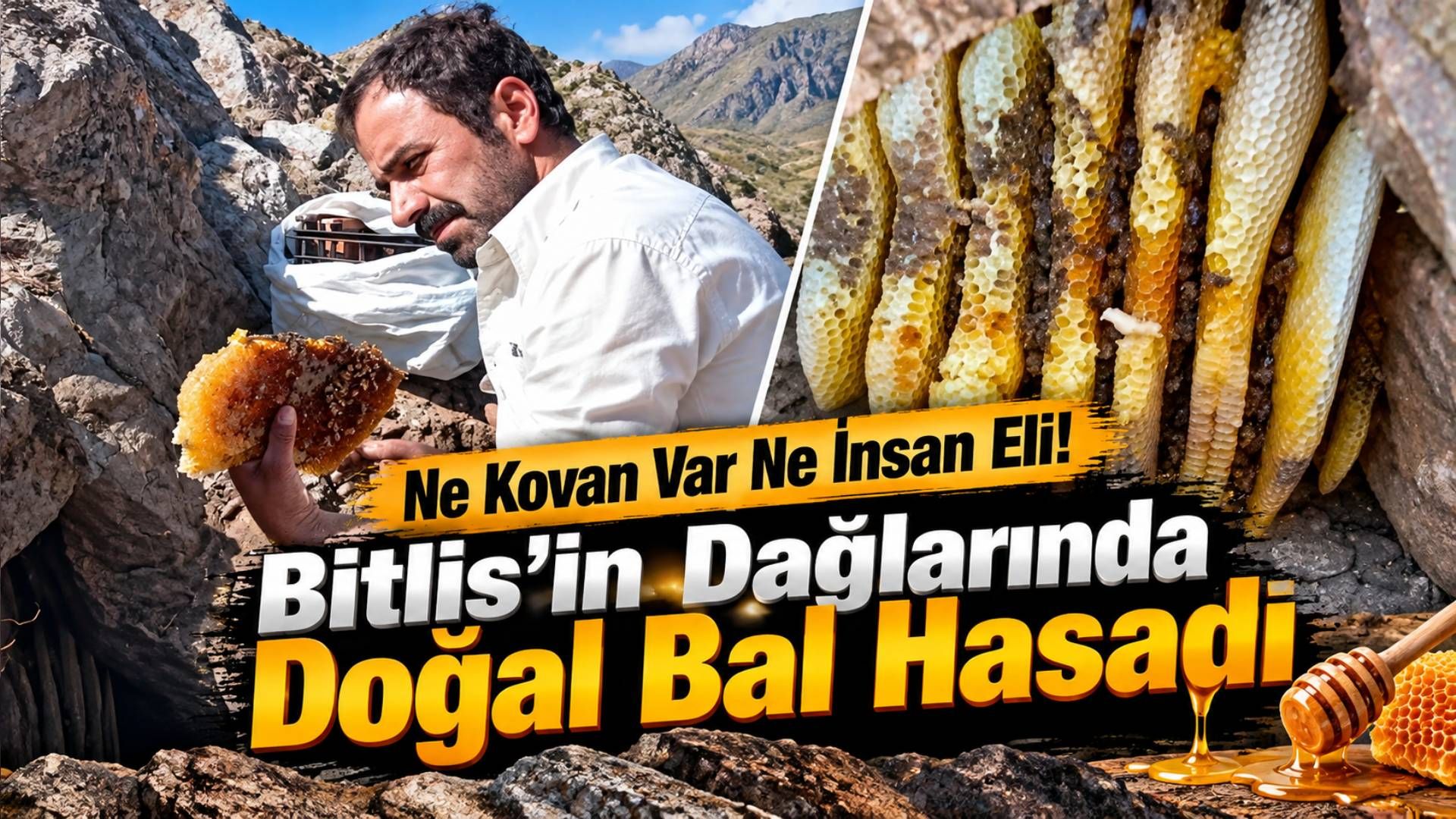 Ne Kovan Var Ne İnsan Eli! Bitlis’in Dağlarında Doğal Bal Hasadı