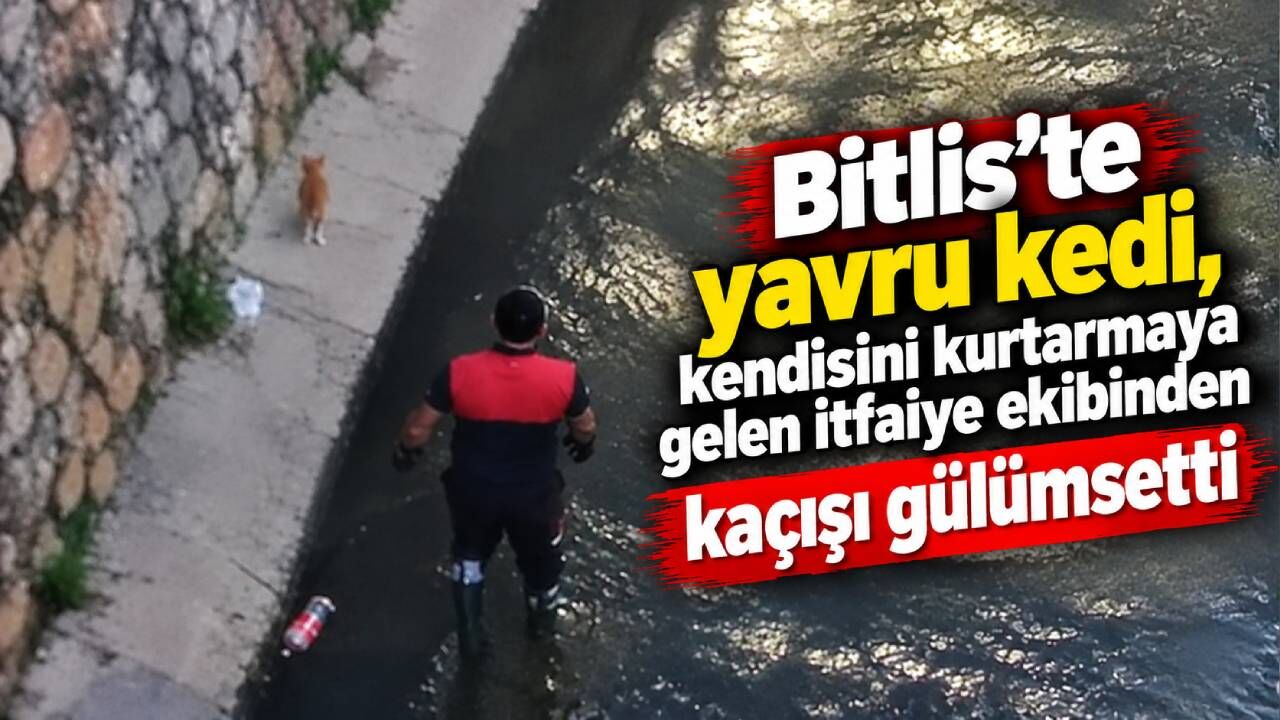 Bitlis