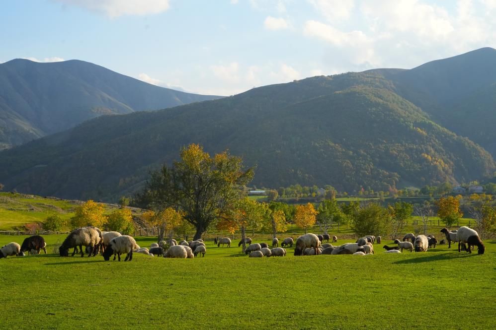 Muş'un Zirvelerinde Sonbahar Güzelliği! Fotoğraf Tutkunları Akın Etti 5