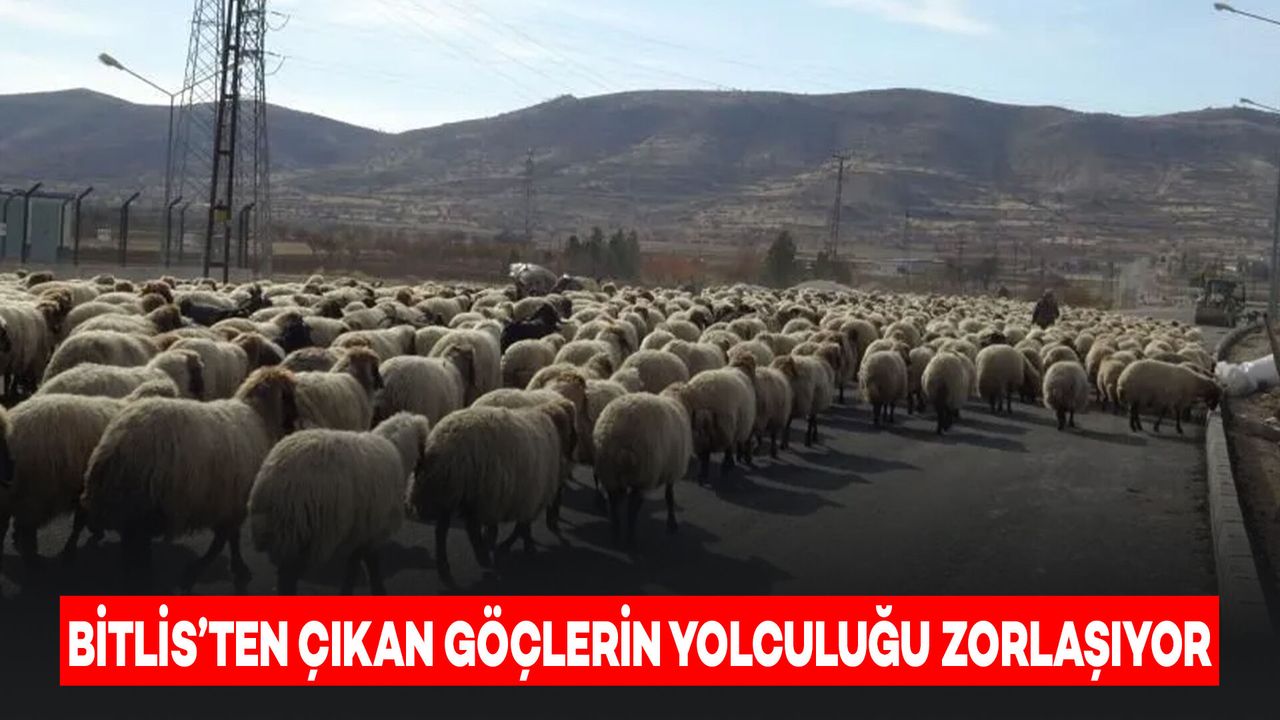 Bitlis'ten Çıkan Göçerlerin Zorlu Dönüş Yolculuğu Sürüyor
