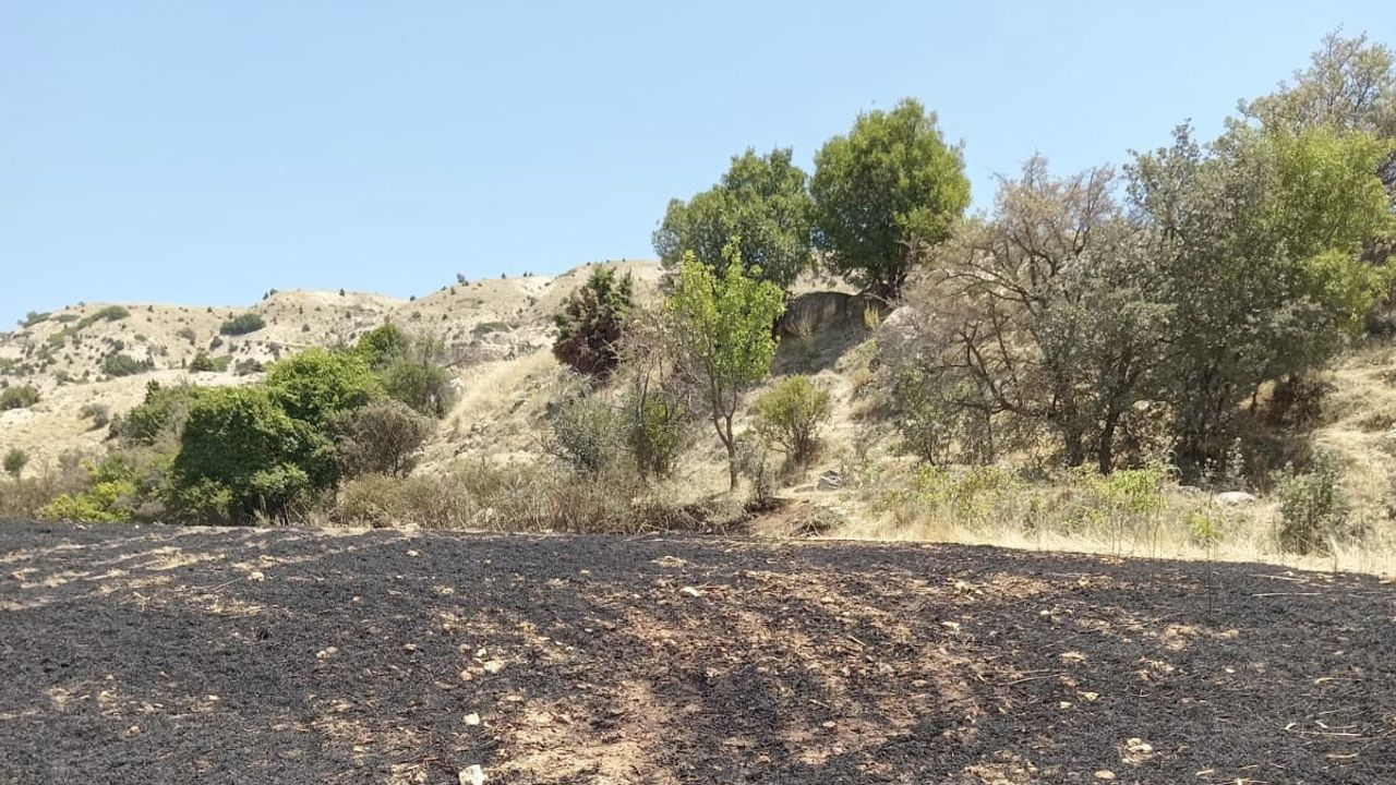Arazi Yangınında 34 Dönüm Arpa Tarlası Kül Oldu - Bitlis Haber - Bitlis ...