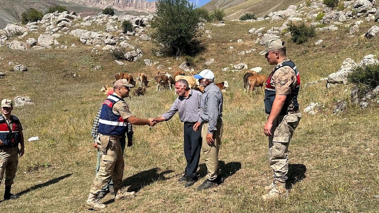 Kaybolan 17 Büyükbaş Hayvan Jandarma Tarafından Bulundu