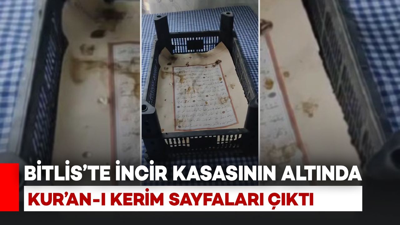 Bitlis'te incir kasasının altında Kur'an-ı Kerim müshafları çıktı