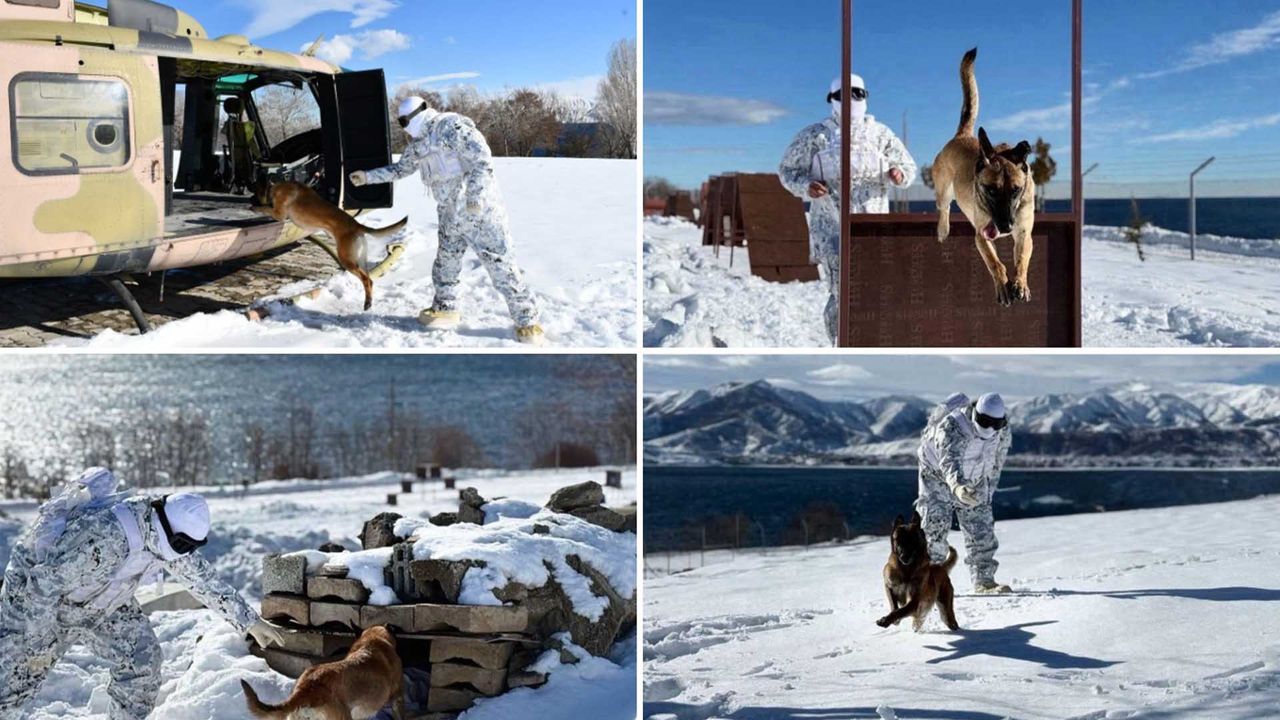 Bitlis'te Askerî Köpekler Zorlu Kış Şartlarında Eğitildi