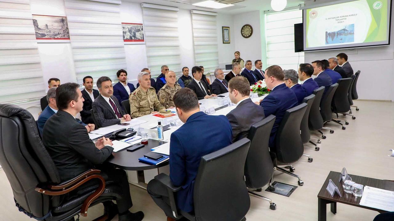 Bitlis’te Sahipsiz Hayvanlar Masaya Yatırıldı